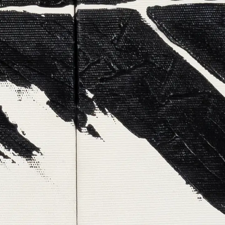 Close das sombras inclinadas em preto sobre o branco